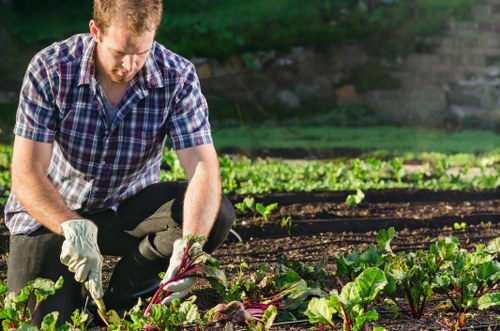 Photograph of a gardener working in a West Ham residential garden with accessible pathway.