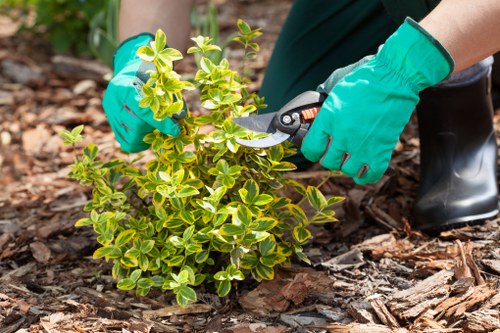 Gardener West Ham team assessing a terrace garden